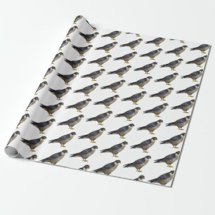 Peregrine falcon-vogelschilderij cartoon cadeaupapier