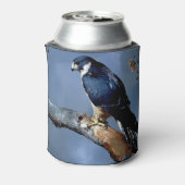 Peregrine Falcon Wildlife Art Blikjeskoeler (Blikje Achterkant)