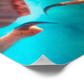 Peregrine Falcon WINGS (MERCURY) Poster (Hoek)