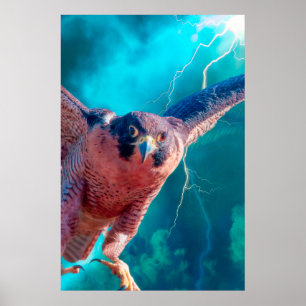 Peregrine Falcon WINGS (MERCURY) Poster