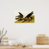 Peregrine Falcons John James Audubon 1838 Poster (Keuken)