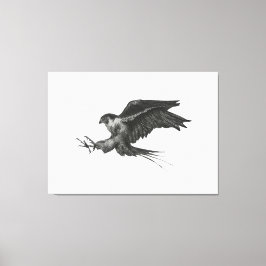 Peregrine Havik canvasprint Canvas Afdruk