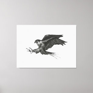 Peregrine Havik canvasprint Canvas Afdruk