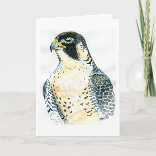 Peregrine valk Birthday Card Kaart (Voorkant)