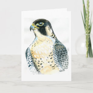 Peregrine valk Birthday Card Kaart