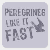 Peregrines als Fast Vierkante Sticker (Voorkant)
