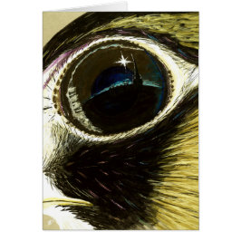 Peregrine's Eye blank