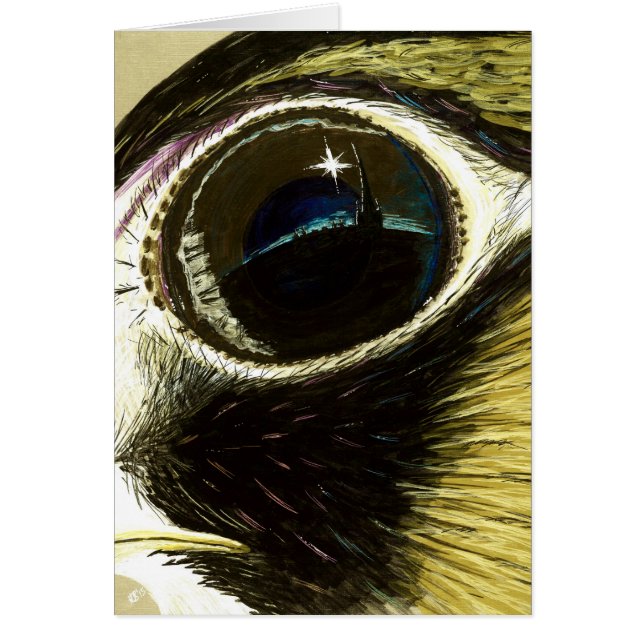 Peregrine's Eye blank (Voorkant)