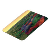 Perelandra Flexible Magnet Magneet (Linkerzijde)