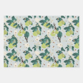 Peren en bijen in een botanische bloementuin inpakpapier vel (Voorkant 3)