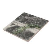 Peren en Hitksplaat in zwarte en witte Natuur Tegeltje (Zijkant)