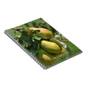Peren Fruit (mijn fotografie) Notitieboek (Rechterzijde)