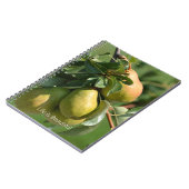 Peren Fruit (mijn fotografie) Notitieboek (Linkerzijde)