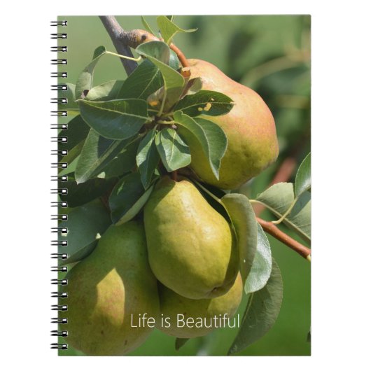 Peren Fruit (mijn fotografie) Notitieboek (Voorkant)