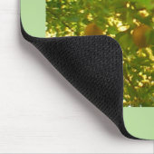 Peren in volbloei muismat (Hoek)