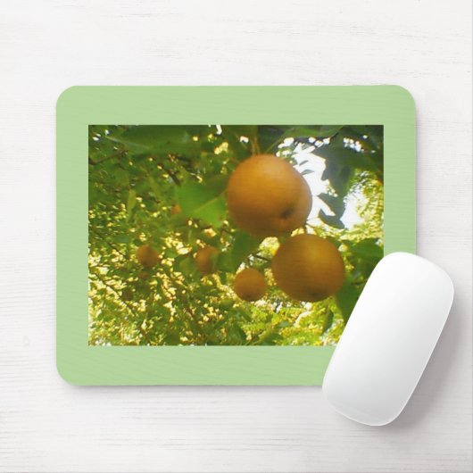 Peren in volbloei muismat (Met muis)
