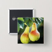 Peren op een boomfoto vierkante button 5,1 cm (Voorkant /achterkant)