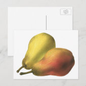  peren, organische levensmiddelen, gerijpte vrucht briefkaart (Voorkant / Achterkant)