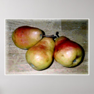 peren poster