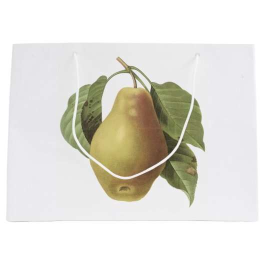 peren (Pyrus sp.) van Redouté Large Cadeautasje (Voorkant)