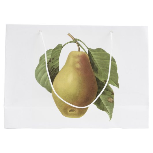 peren (Pyrus sp.) van Redouté Large Cadeautasje (Achterkant)