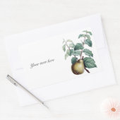  peren rechthoekige sticker (Envelop)