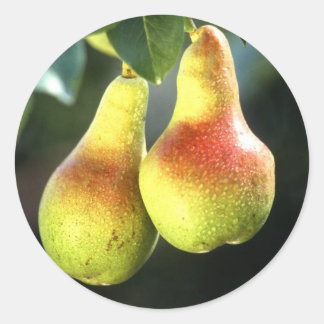 peren ronde sticker