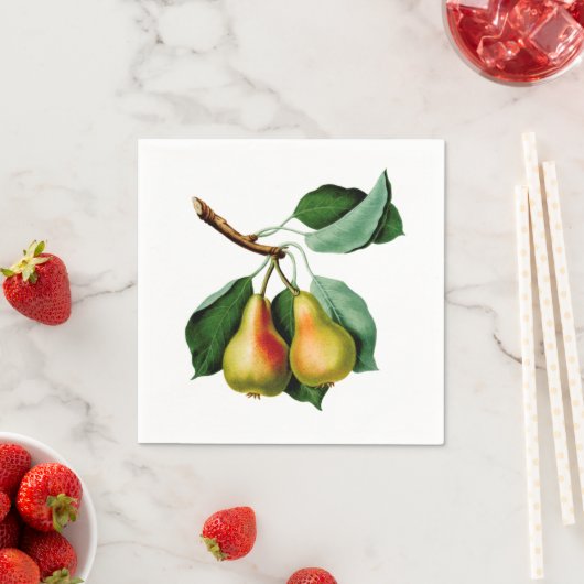  peren servet (Insitu)