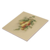 peren tegeltje (Zijkant)