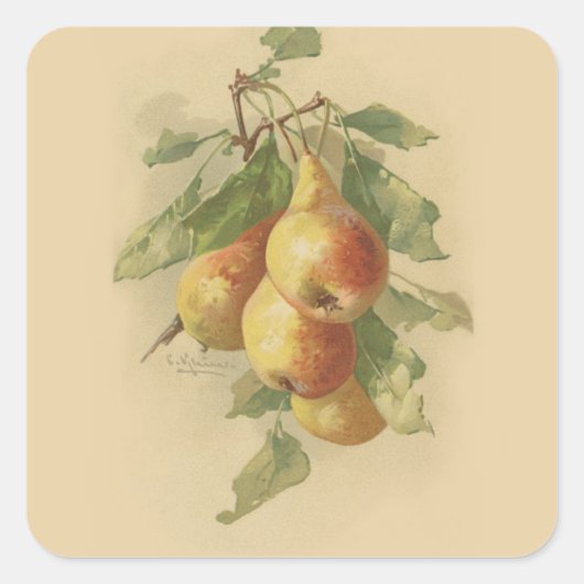  peren vierkante sticker (Voorkant)