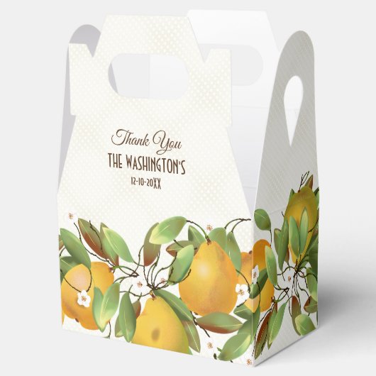 Peren Vruchten Botanisch Bedankdoosjes (Geopend)