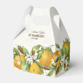 Peren Vruchten Botanisch Bedankdoosjes (Voorkant Zijde)