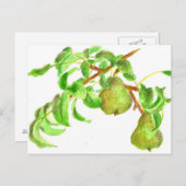 Peren Waterverf Zomer Fruit Schilderij Briefkaart (Voorkant / Achterkant)