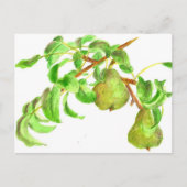 Peren Waterverf Zomer Fruit Schilderij Briefkaart (Voorkant)