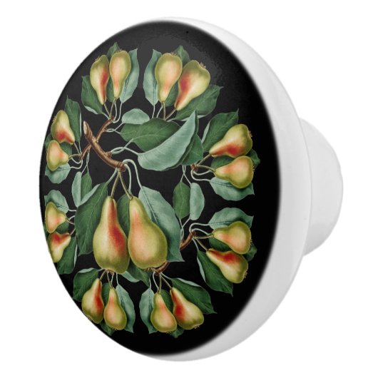 Peren ~ zwart of elke kleur achtergrond ~ * ~ keramische knop (Rechts)