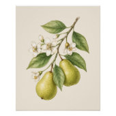 Perenbloesem Botanische Kunstprint Perfect Poster (Voorkant)