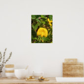 Perennial Peanut Plant Big Island Hawaii Poster (Keuken)