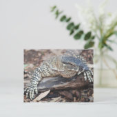 Perenti Briefkaart (Staand voorkant)