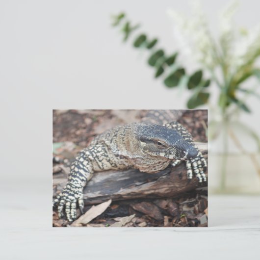 Perenti Briefkaart (Staand voorkant)