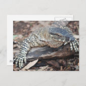 Perenti Briefkaart (Voorkant / Achterkant)