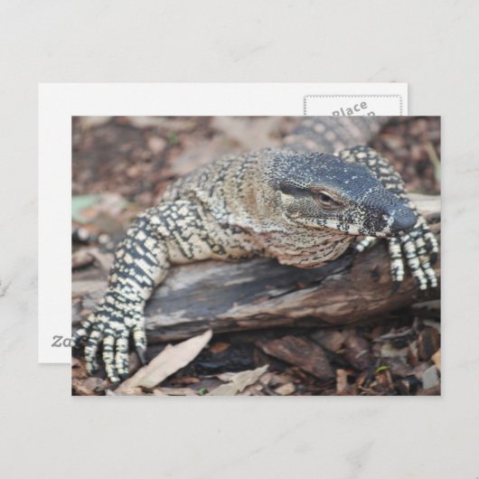 Perenti Briefkaart (Voorkant / Achterkant)