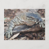 Perenti Briefkaart (Voorkant)