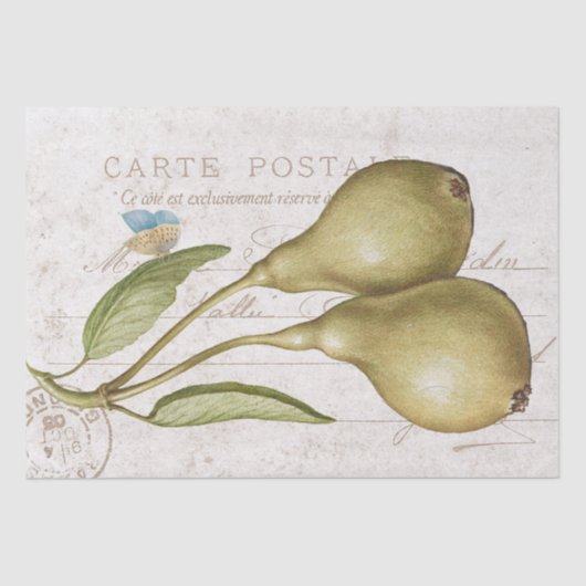  perenvlinderstaart — ontkoppeling tissuepapier (Voorkant)