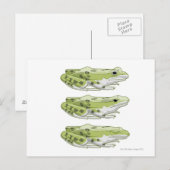 Perez Frog Briefkaart (Voorkant / Achterkant)