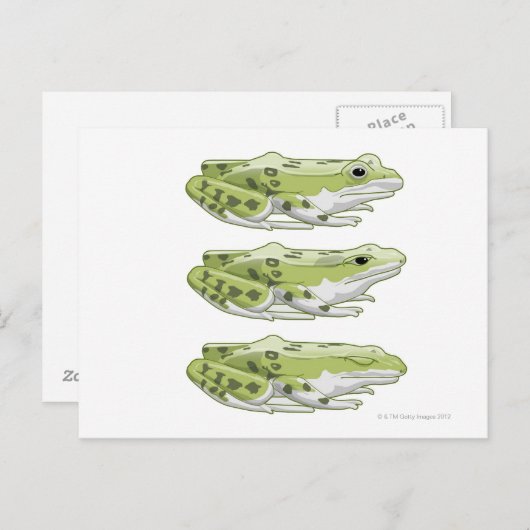 Perez Frog Briefkaart (Voorkant / Achterkant)