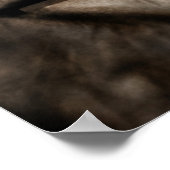 Perfect been poster (Hoek)