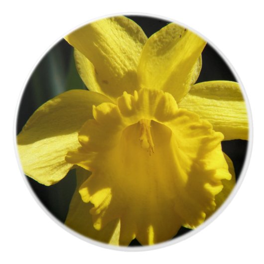Perfect Daffodil Keramische Knop (Voorkant)