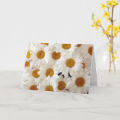 Perfect Daisies Wenskaarten Kaart (Gele Bloem)