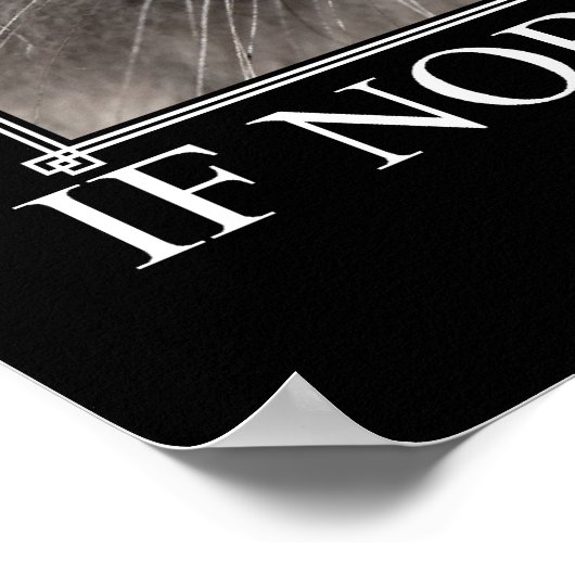 Perfect: geen kat kunstwerk poster (Hoek)