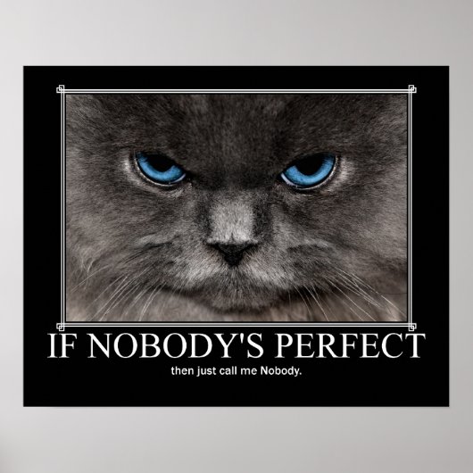 Perfect: geen kat kunstwerk poster (Voorkant)
